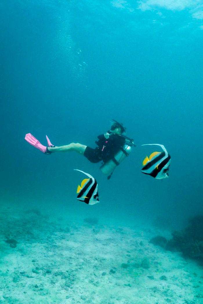 dicing-center-in-phi-phi Diving center in Phi Phi